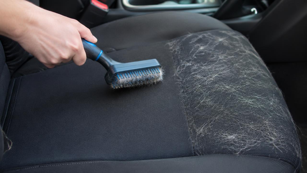 Rubber brush pulling dog hair off a dark cloth car seat